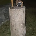 Knusperhaeuschen Maria Nikolett In By Interhome 度假居 *