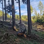 Knusperhaeuschen Maria Nikolett In By Interhome 度假居 沃尔夫斯堡