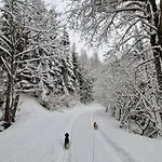 Knusperhaeuschen Maria Nikolett In By Interhome * 沃尔夫斯堡