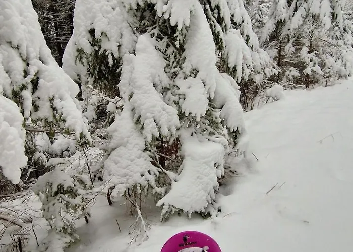 Dom wakacyjny Knusperhaeuschen Maria Nikolett In Wolfsberg By Interhome *