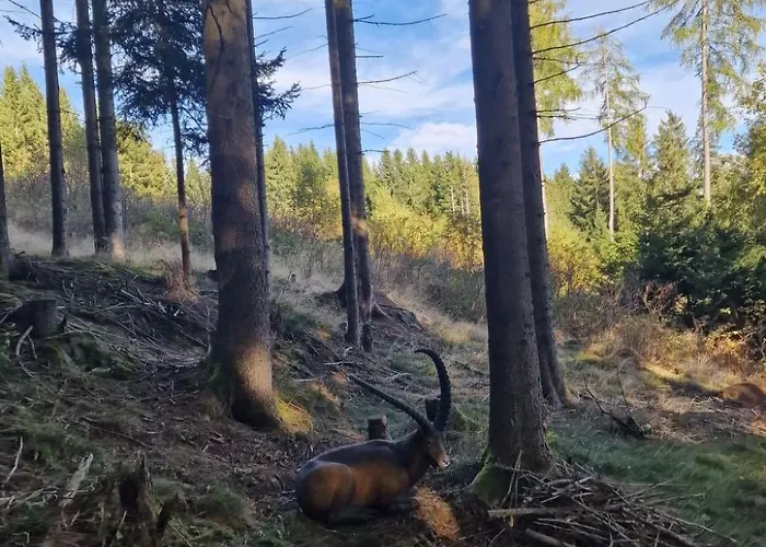 Knusperhaeuschen Maria Nikolett In Wolfsberg By Interhome Holiday home Wolfsberg