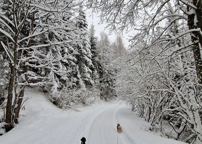 Knusperhaeuschen Maria Nikolett In Wolfsberg By Interhome * Wolfsberg
