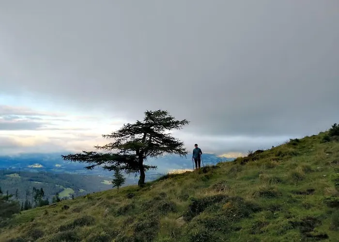 Knusperhaeuschen Maria Nikolett In Wolfsberg By Interhome *