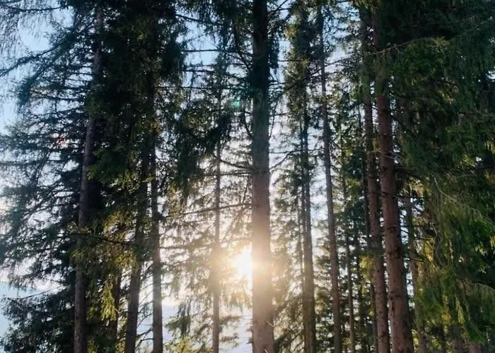 Holiday home Knusperhaeuschen Maria Nikolett In Wolfsberg By Interhome